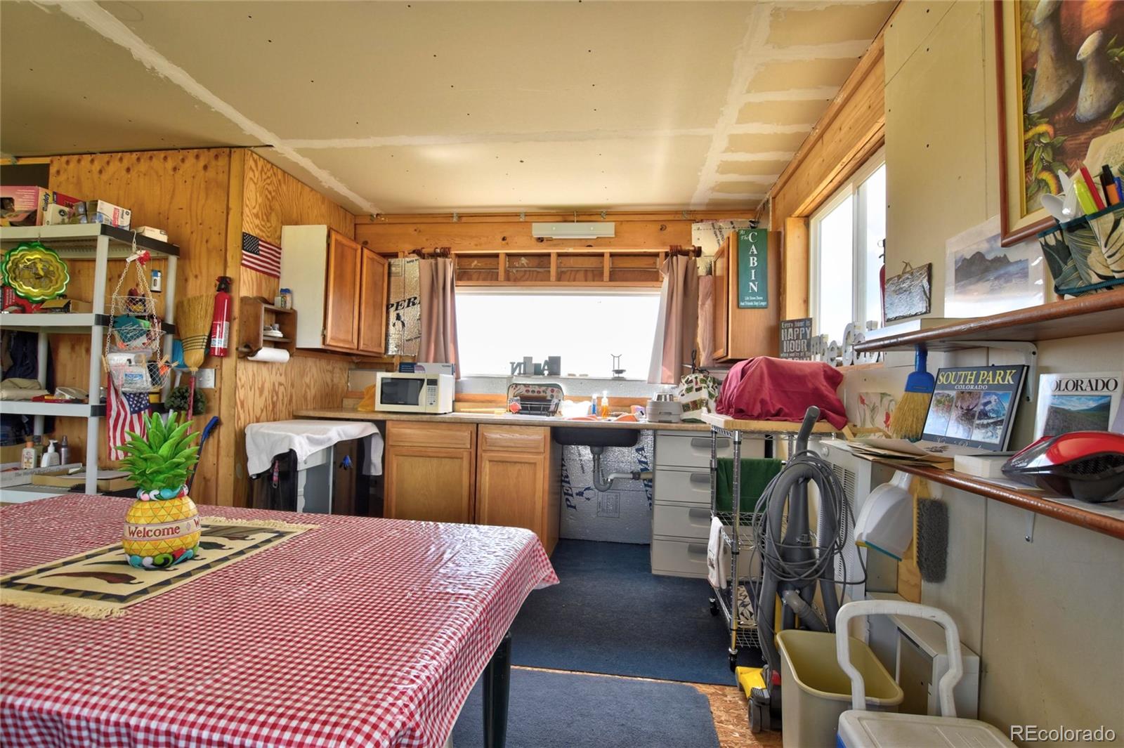 MLS Image #3 for 1091  kokanee rd ,fairplay, Colorado