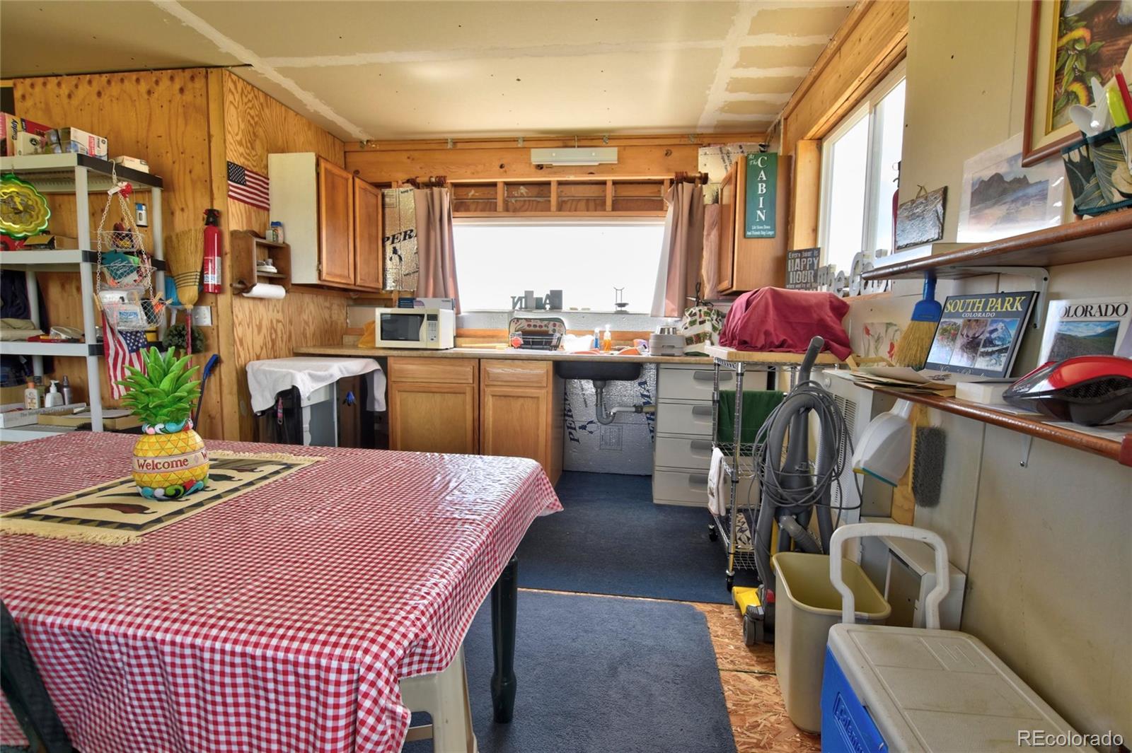 MLS Image #4 for 1091  kokanee rd ,fairplay, Colorado