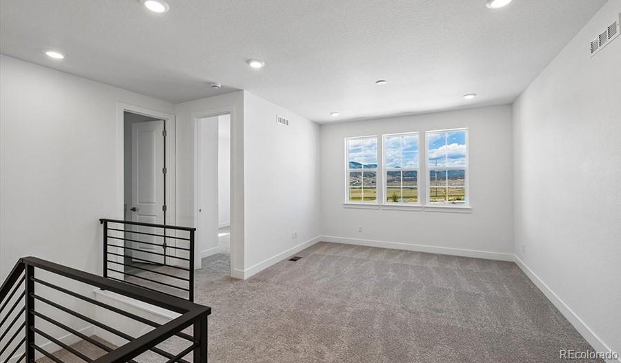 MLS Image #11 for 8514  piedra river street,littleton, Colorado