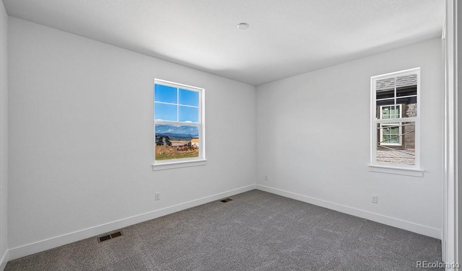 MLS Image #15 for 8514  piedra river street,littleton, Colorado