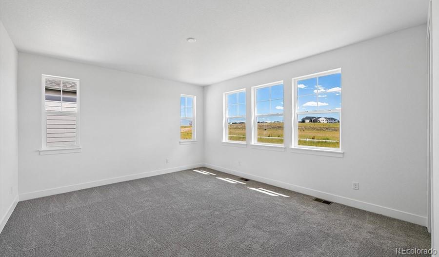 MLS Image #19 for 8514  piedra river street,littleton, Colorado