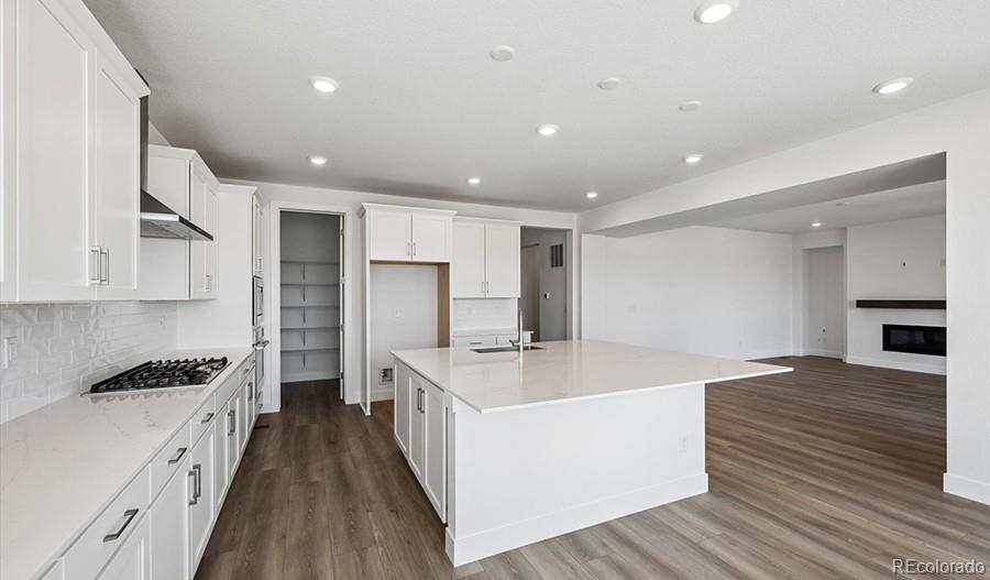 MLS Image #8 for 8514  piedra river street,littleton, Colorado