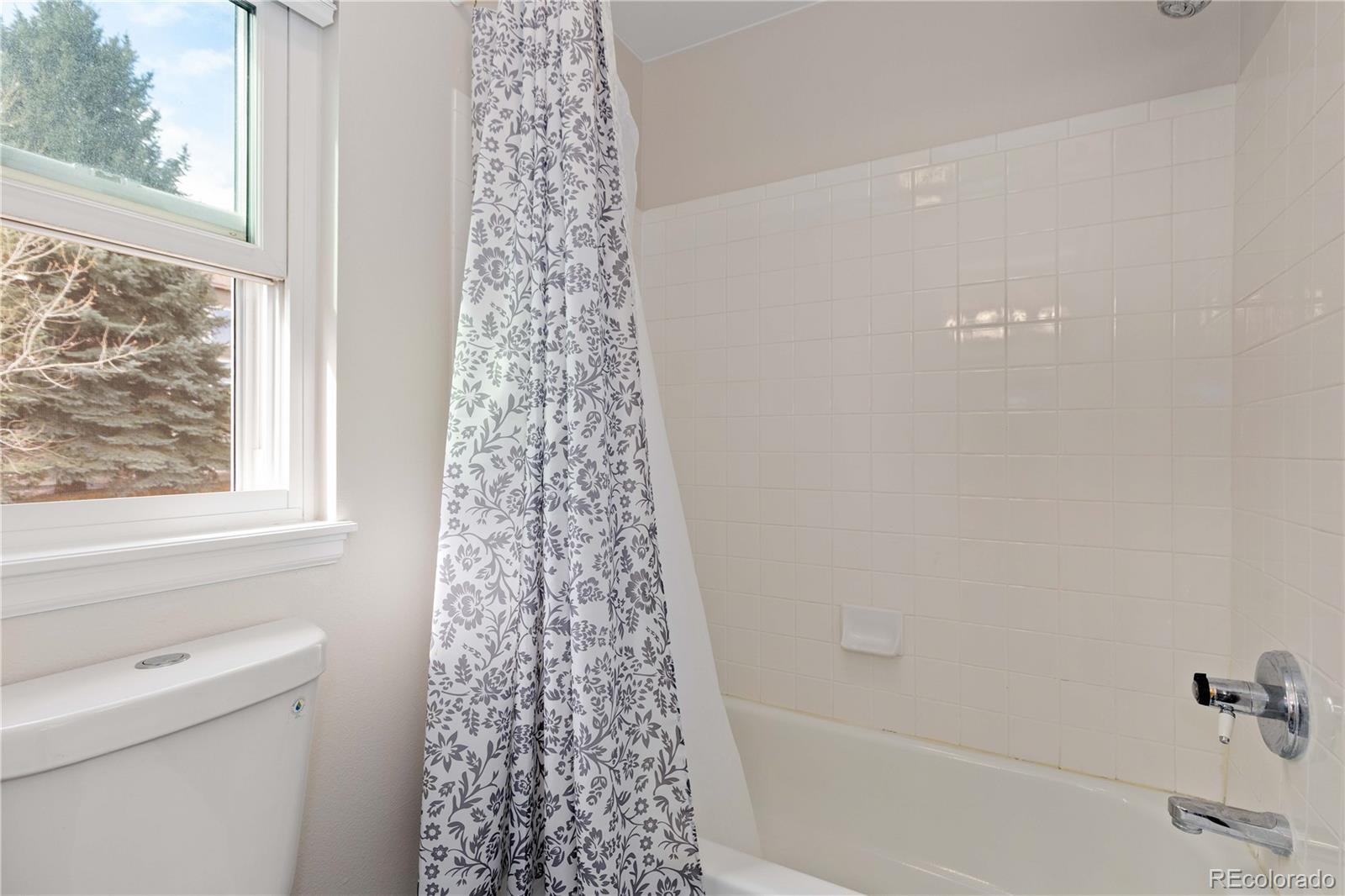 MLS Image #27 for 758  huntington place,highlands ranch, Colorado