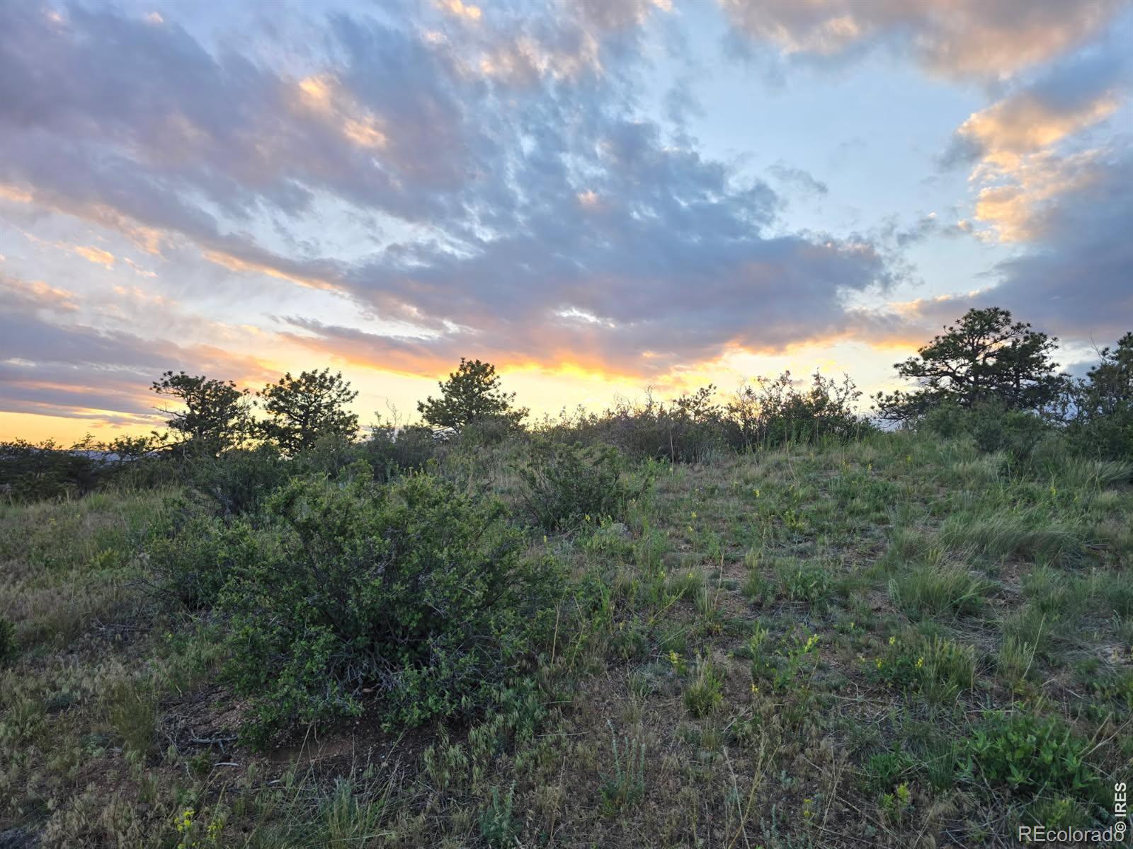 MLS Image #37 for 795  sundance drive,livermore, Colorado