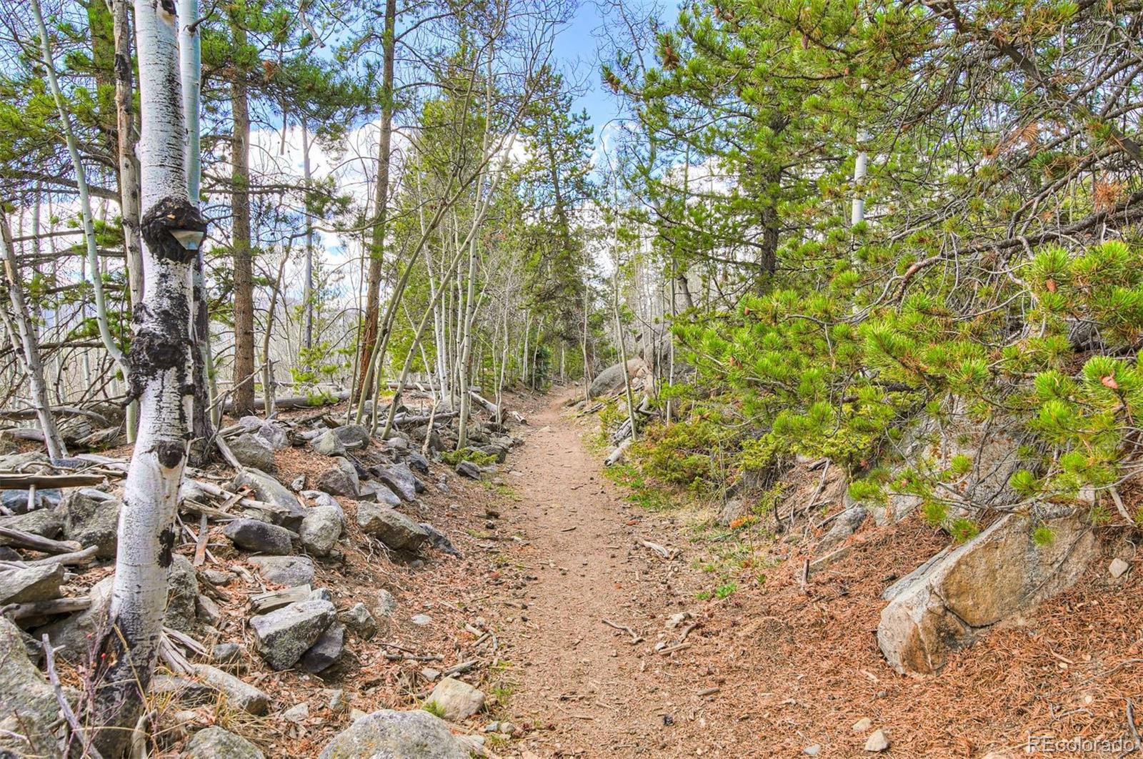 MLS Image #33 for 71  antlers gulch road,keystone, Colorado