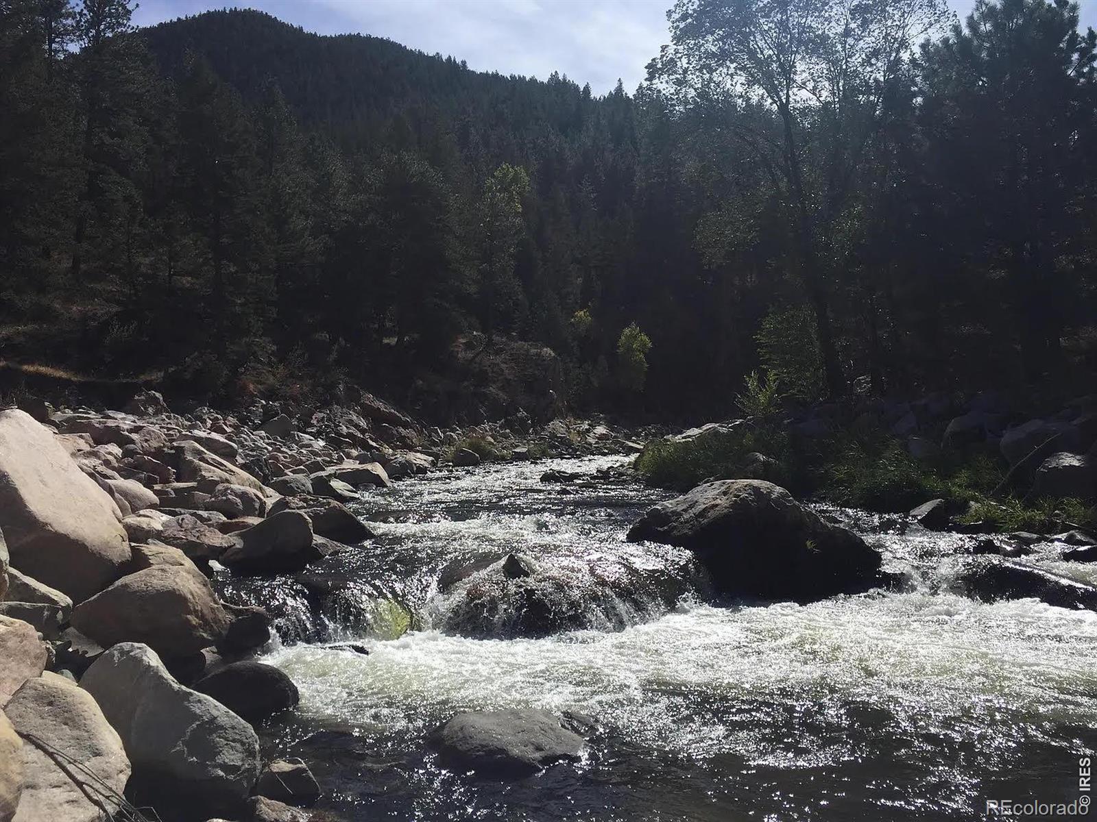 MLS Image #10 for 290  river fork road,drake, Colorado