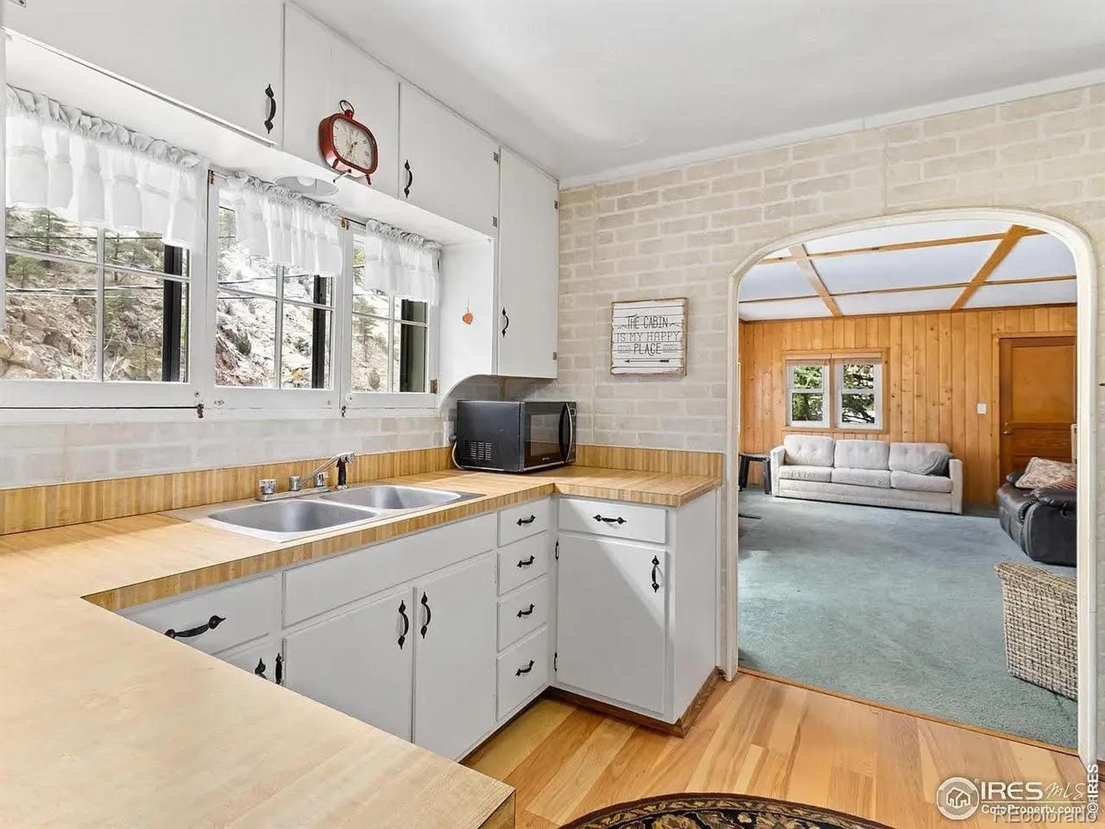 MLS Image #2 for 290  river fork road,drake, Colorado