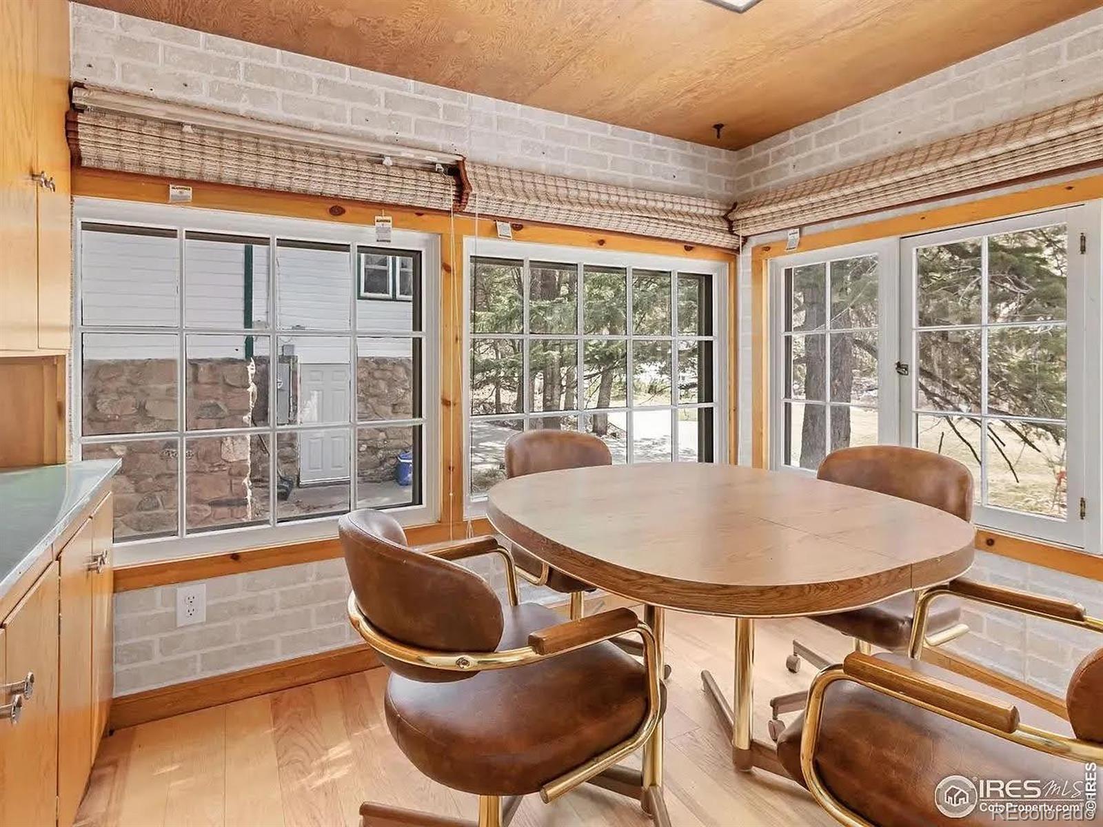 MLS Image #3 for 290  river fork road,drake, Colorado