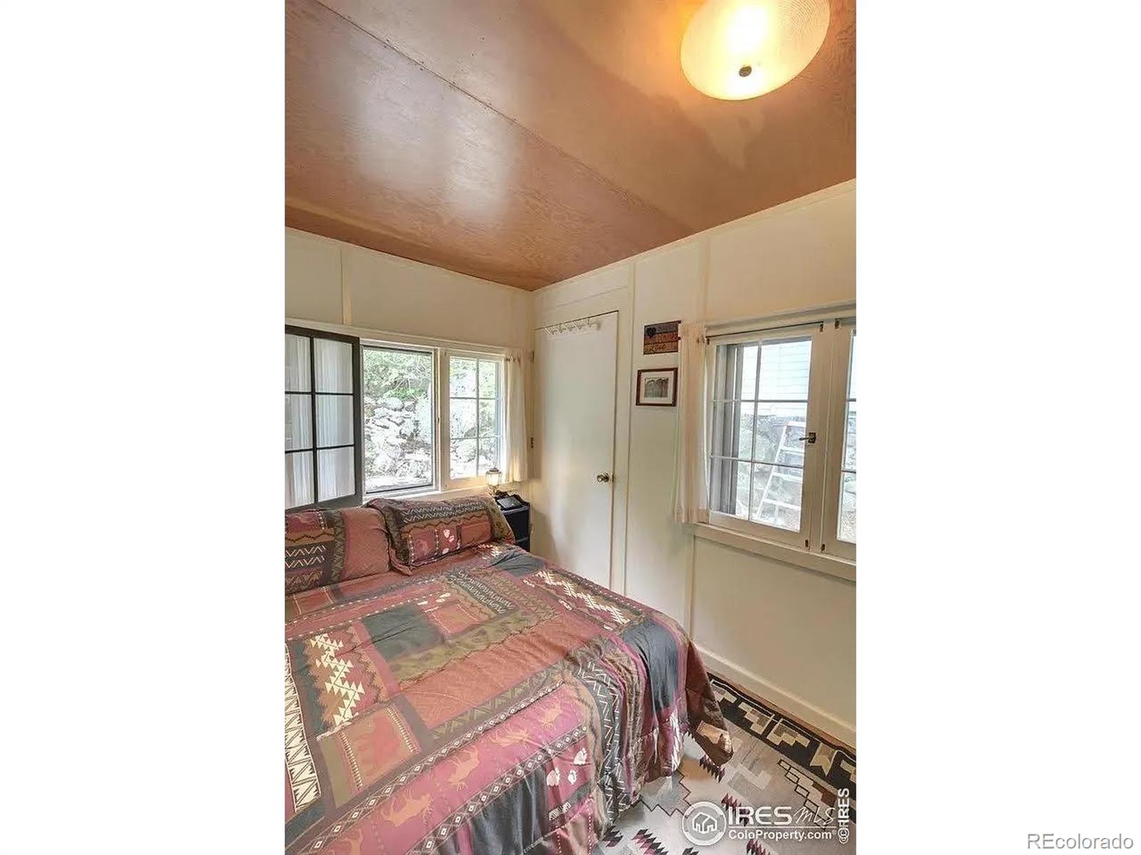 MLS Image #4 for 290  river fork road,drake, Colorado