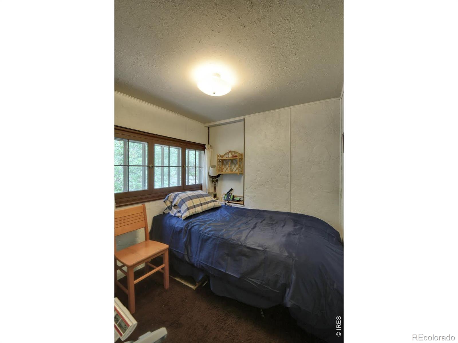 MLS Image #5 for 290  river fork road,drake, Colorado
