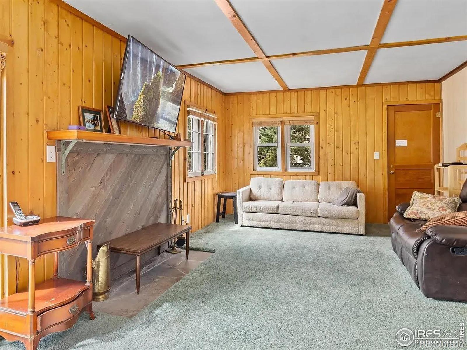MLS Image #7 for 290  river fork road,drake, Colorado