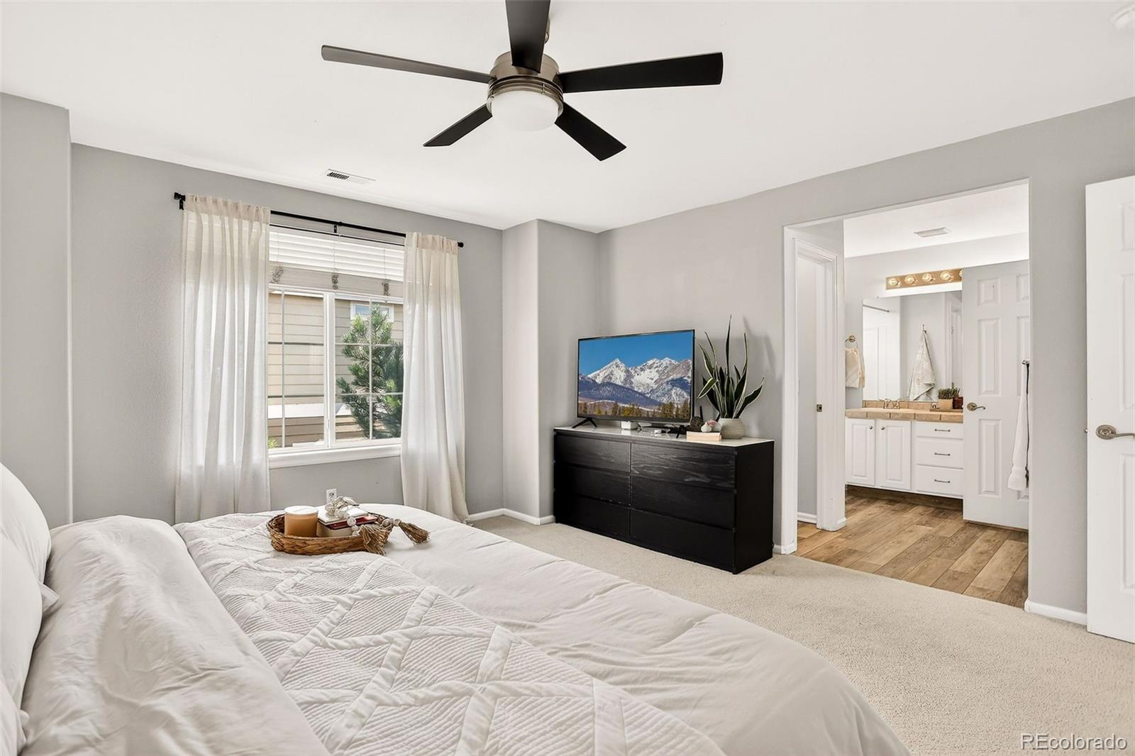 MLS Image #12 for 7454 s norfolk street,aurora, Colorado
