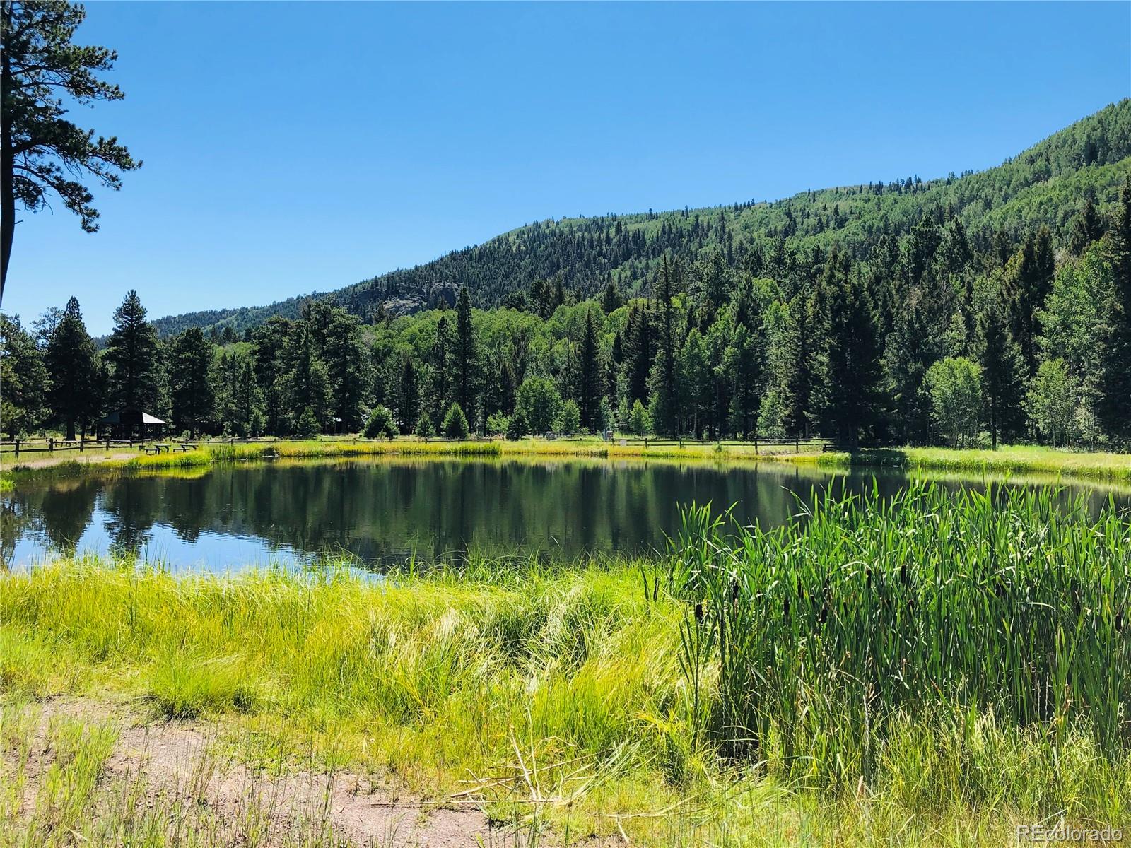 MLS Image #20 for 172  elk meadow run,antonito, Colorado