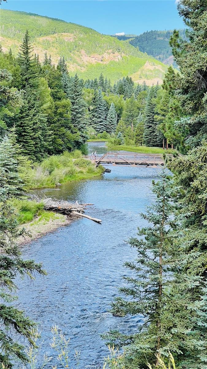 MLS Image #23 for 172  elk meadow run,antonito, Colorado