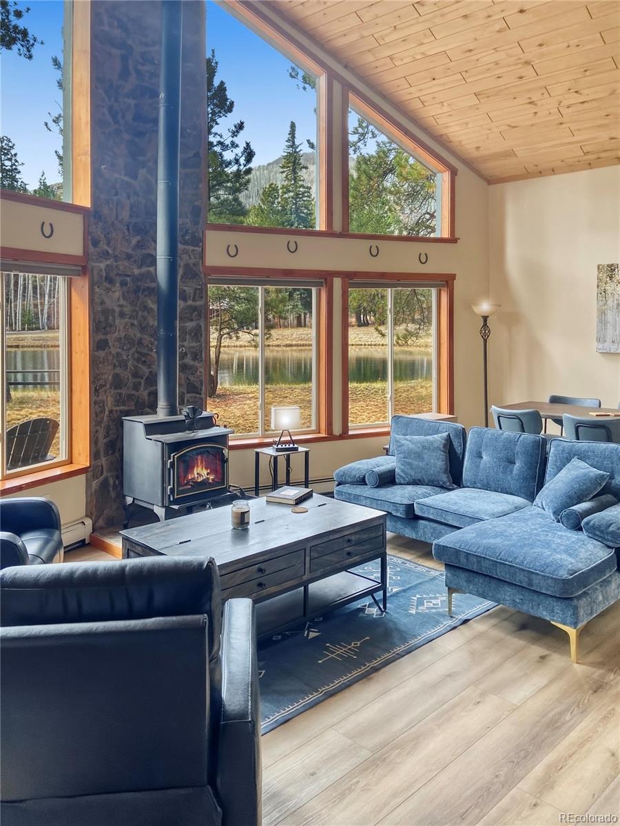 MLS Image #26 for 172  elk meadow run,antonito, Colorado