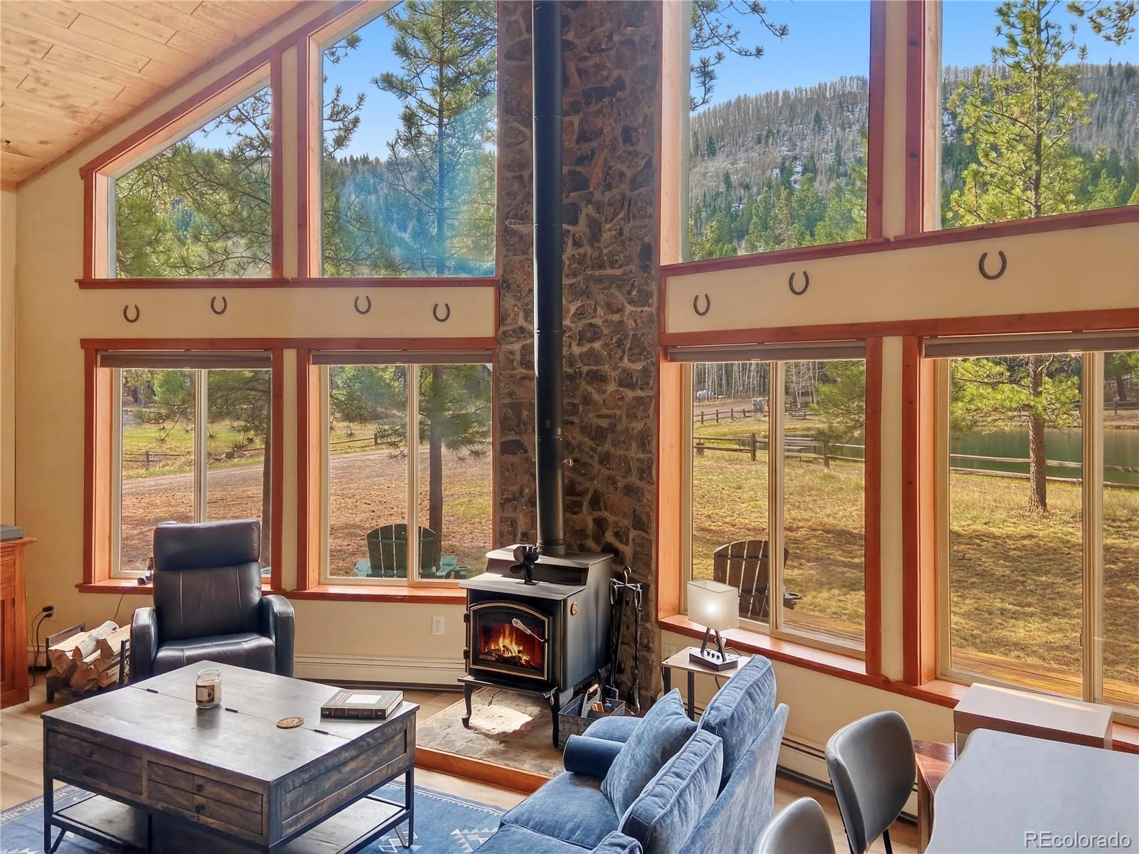 MLS Image #3 for 172  elk meadow run,antonito, Colorado