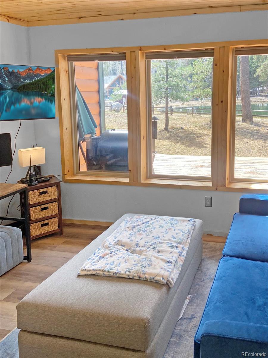 MLS Image #7 for 172  elk meadow run,antonito, Colorado