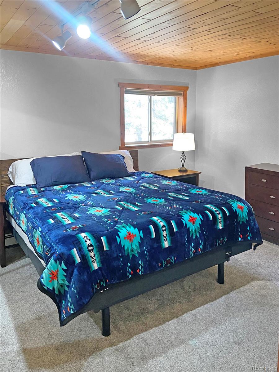 MLS Image #8 for 172  elk meadow run,antonito, Colorado