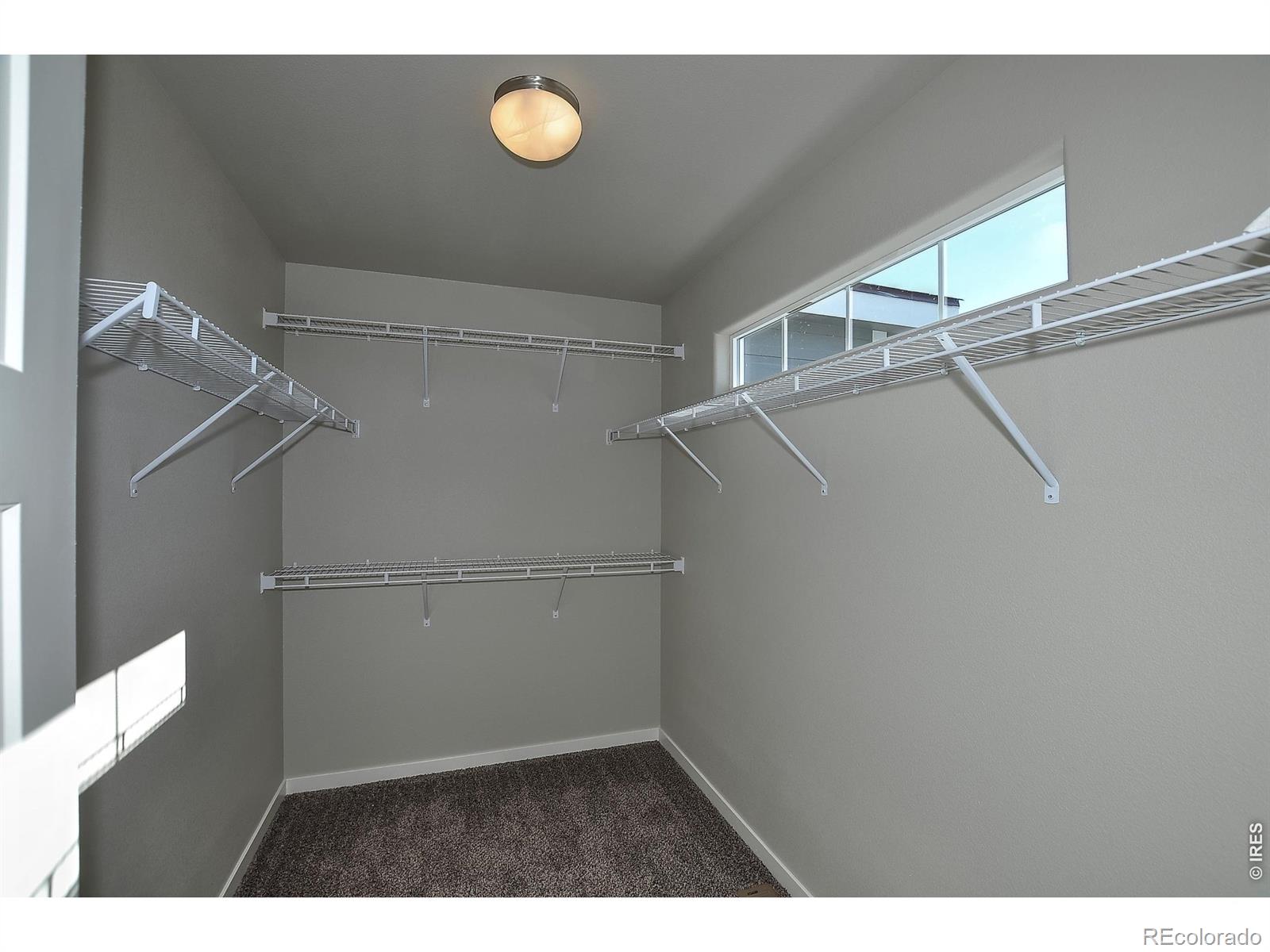 MLS Image #22 for 1197  crown sparrow street,johnstown, Colorado