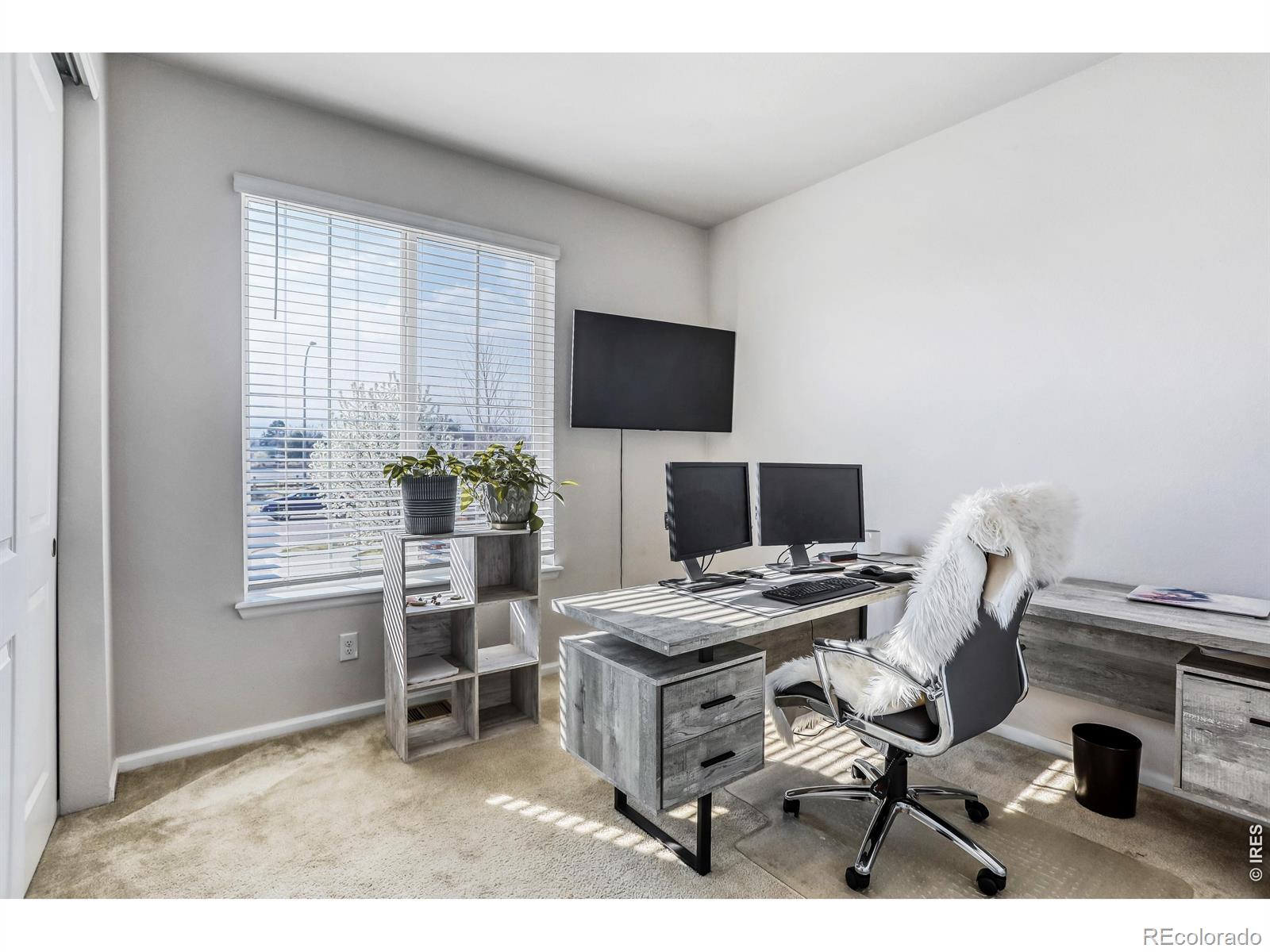 MLS Image #15 for 7154  howell court,arvada, Colorado
