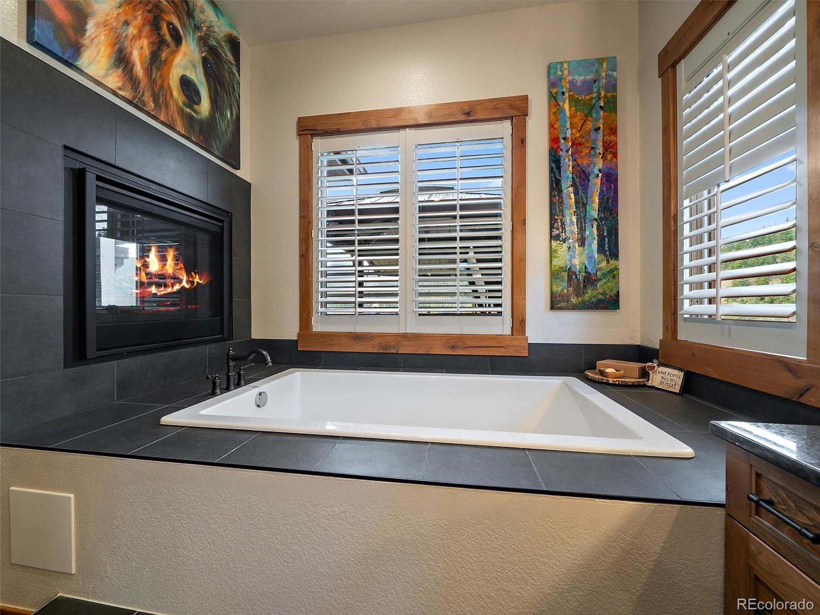 MLS Image #14 for 32643  lodgepole circle,evergreen, Colorado