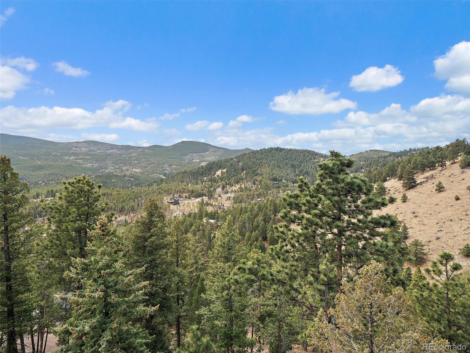 MLS Image #35 for 32643  lodgepole circle,evergreen, Colorado