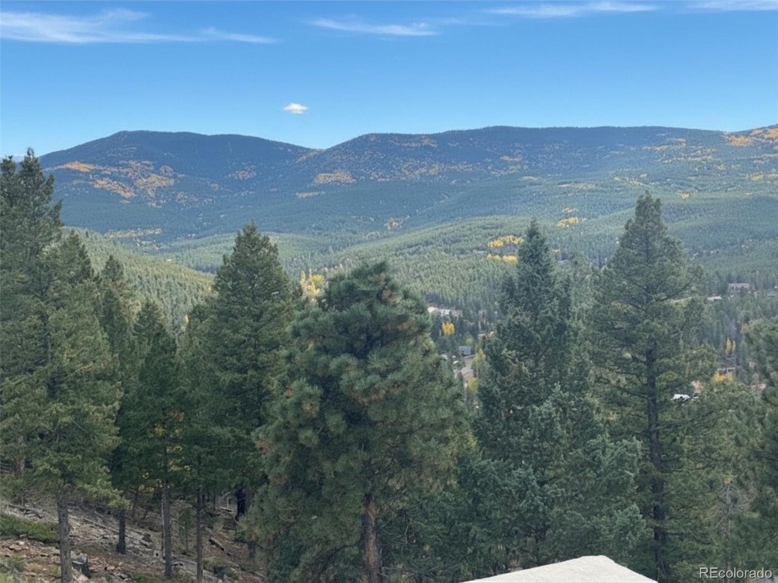 MLS Image #39 for 32643  lodgepole circle,evergreen, Colorado