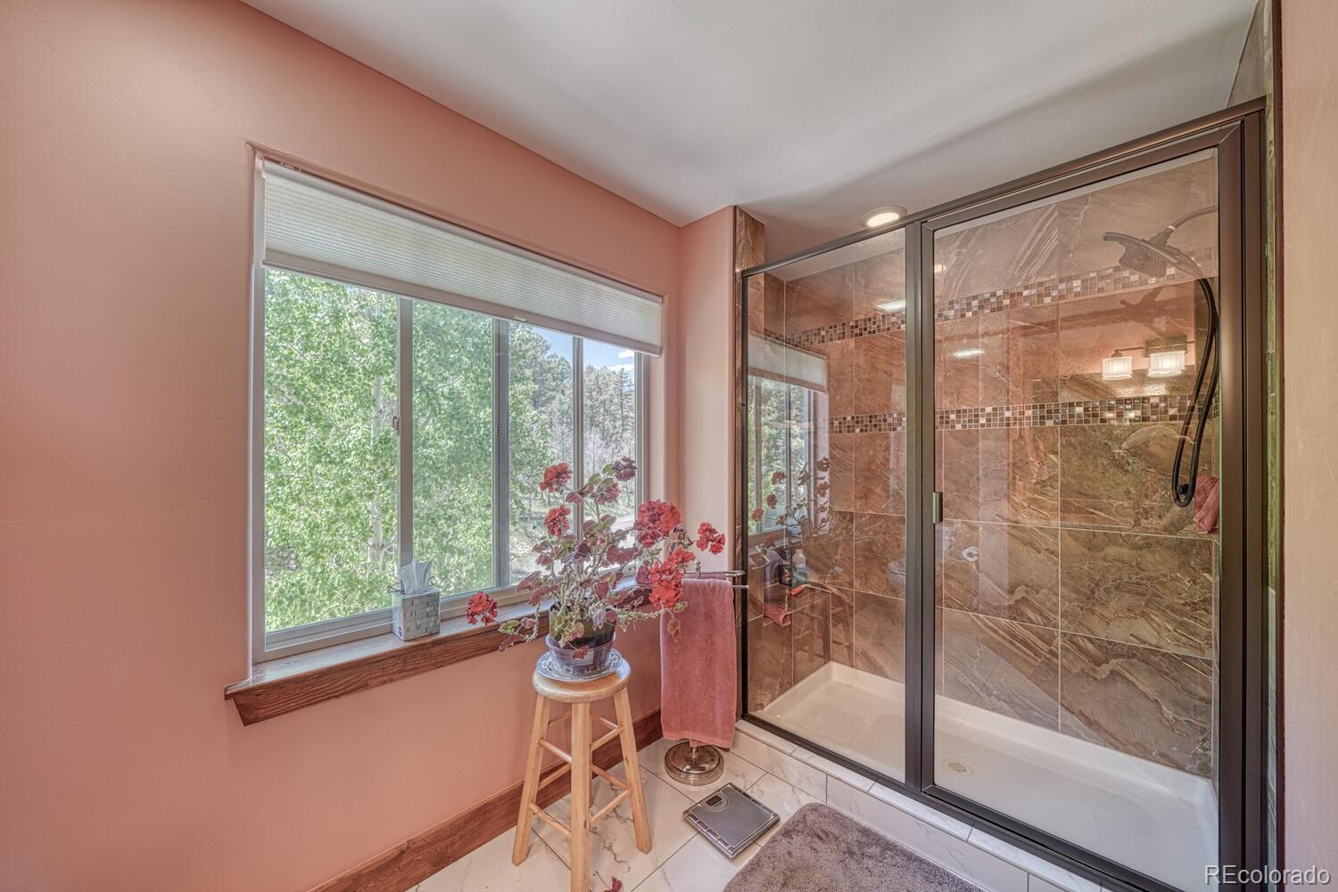 MLS Image #19 for 441  kaufman road,hartsel, Colorado