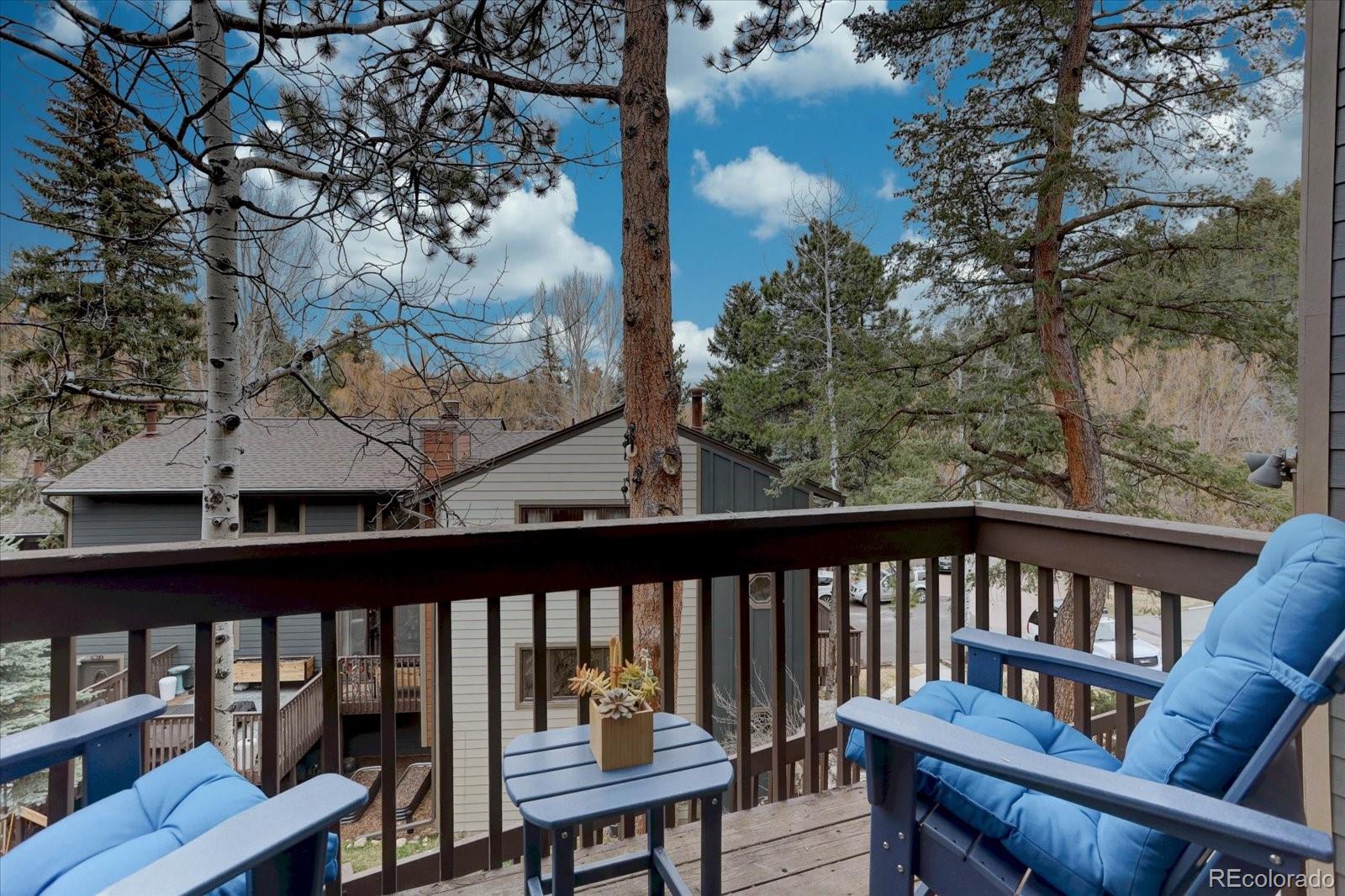 MLS Image #13 for 4885  silver spruce lane,evergreen, Colorado