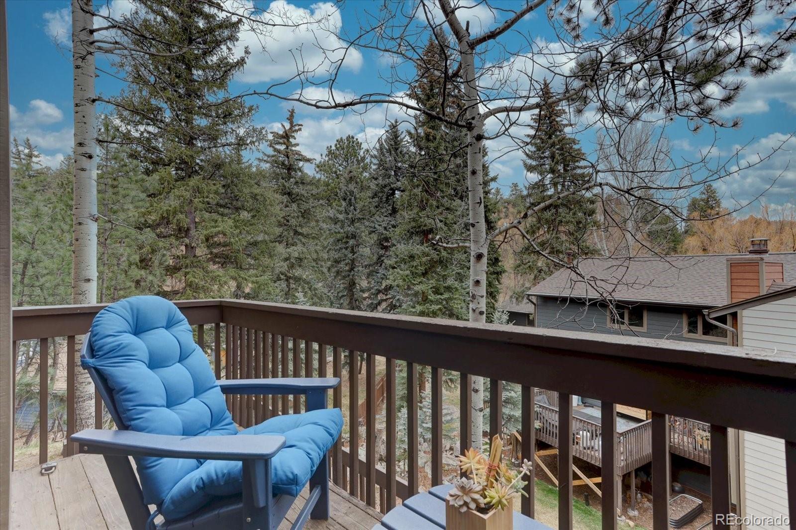 MLS Image #14 for 4885  silver spruce lane,evergreen, Colorado