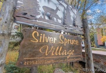 MLS Image #32 for 4885  silver spruce lane,evergreen, Colorado