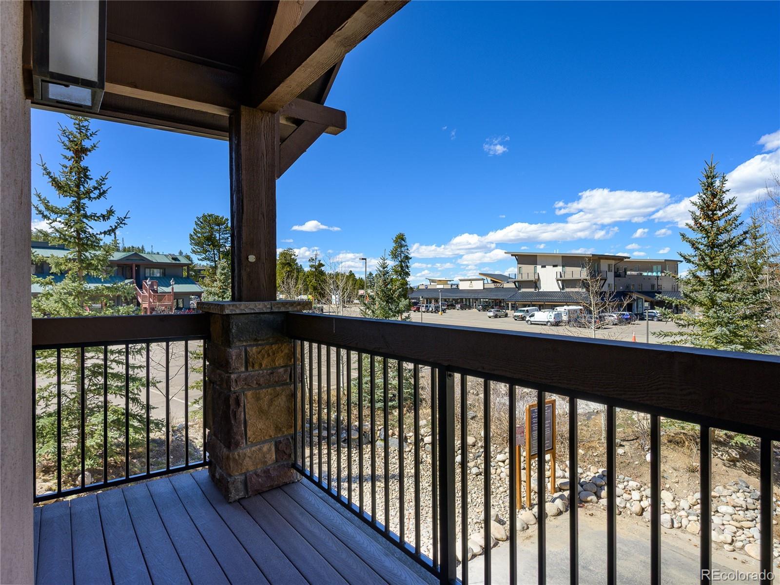 MLS Image #11 for 509  red quill way,winter park, Colorado
