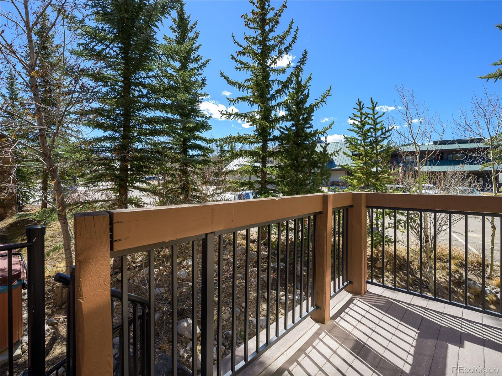MLS Image #12 for 509  red quill way,winter park, Colorado