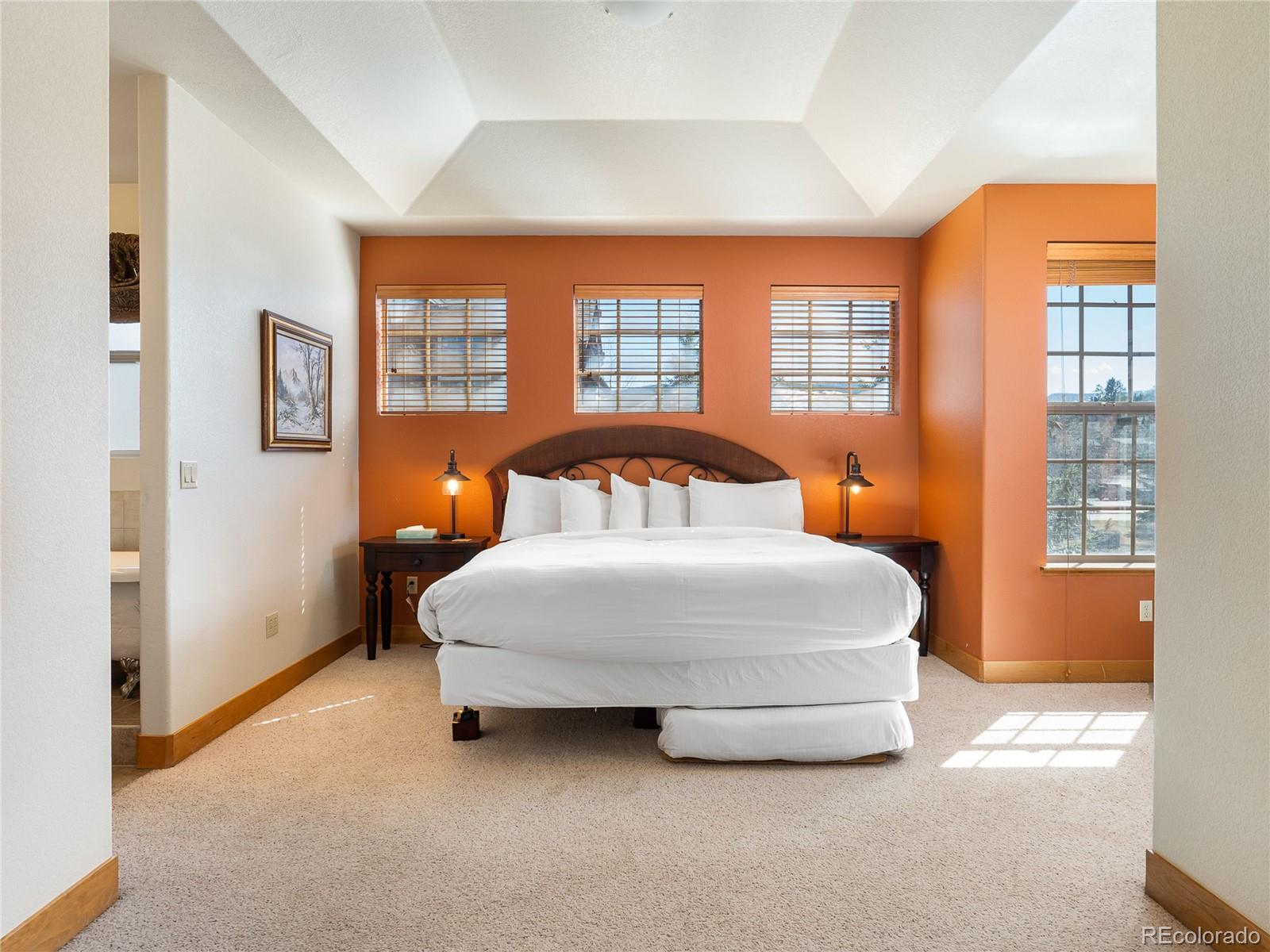 MLS Image #5 for 509  red quill way,winter park, Colorado