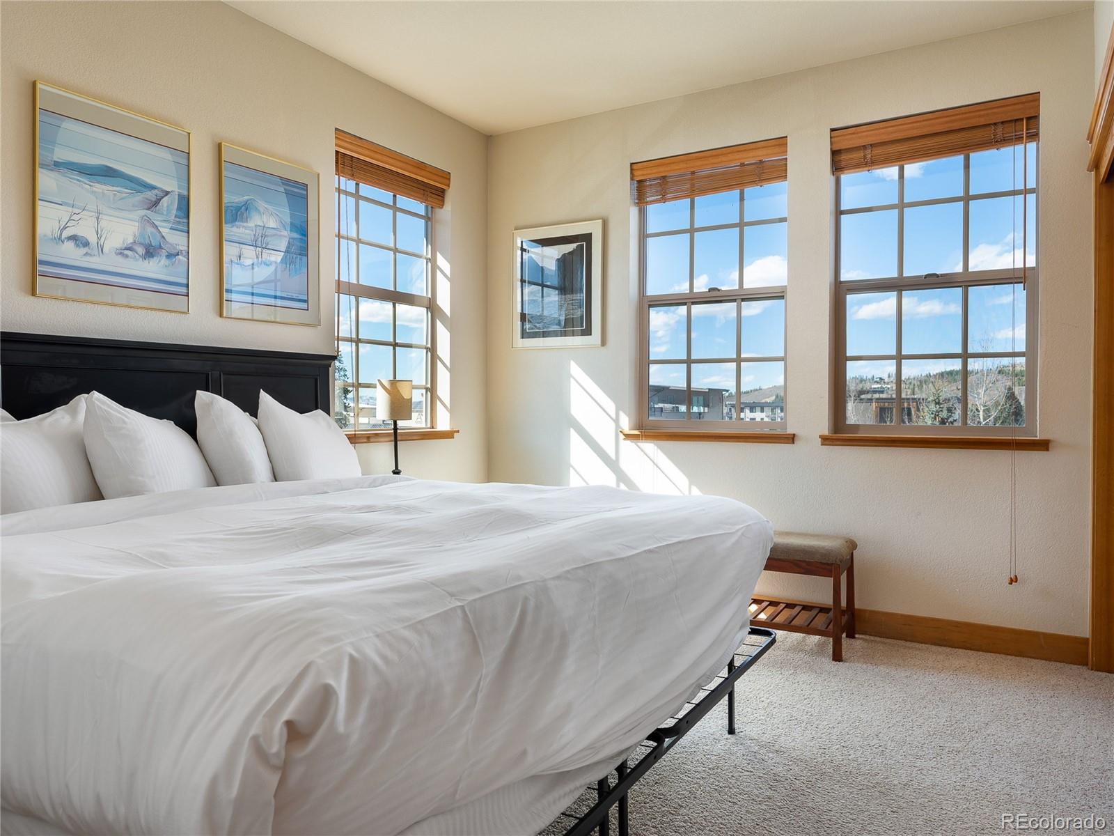MLS Image #6 for 509  red quill way,winter park, Colorado