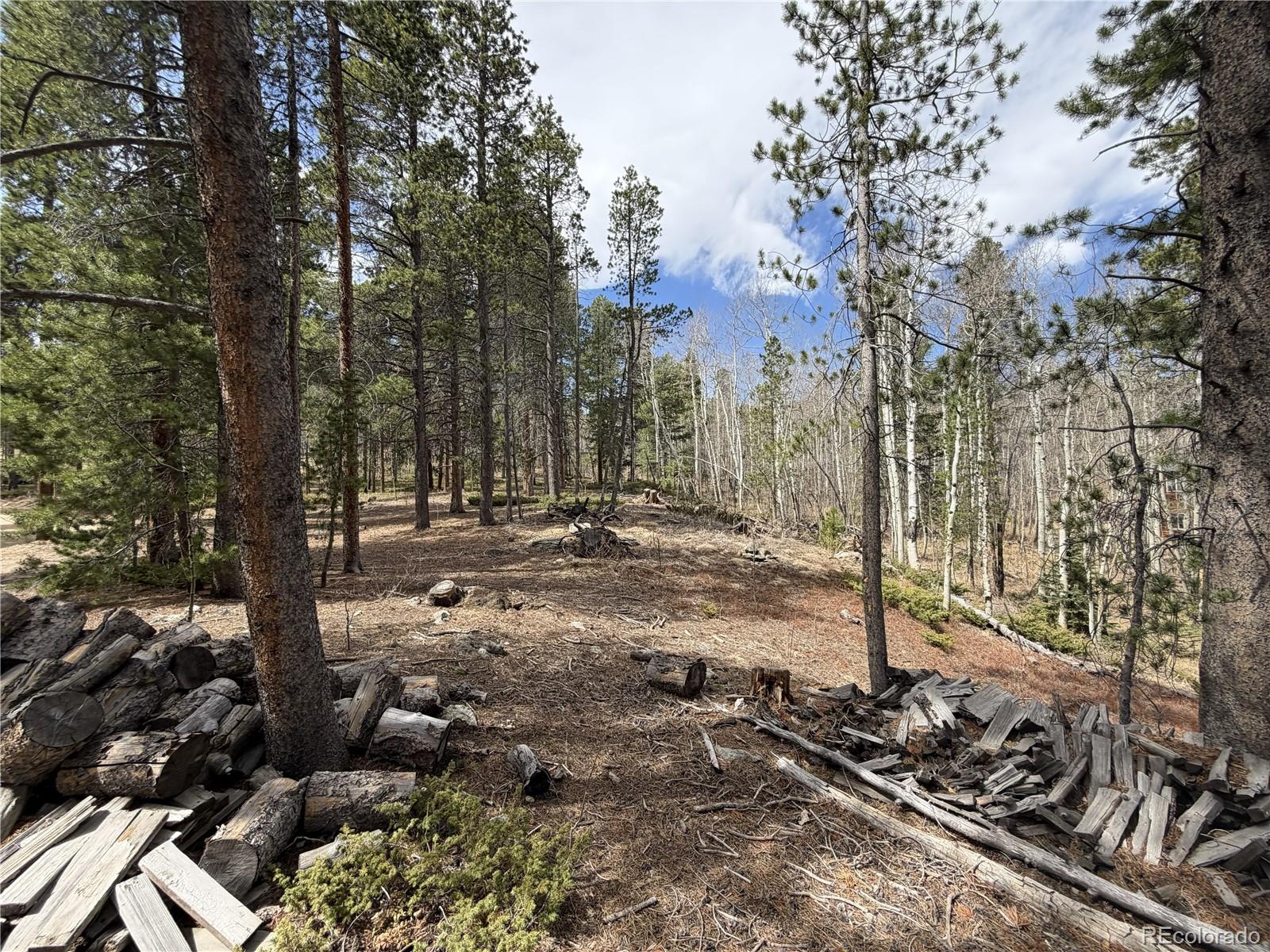 MLS Image #26 for 322  morning star circle,black hawk, Colorado