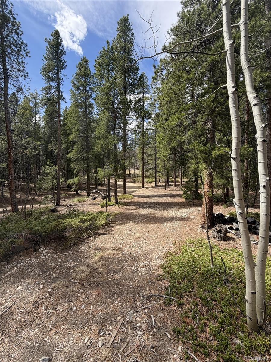 MLS Image #27 for 322  morning star circle,black hawk, Colorado