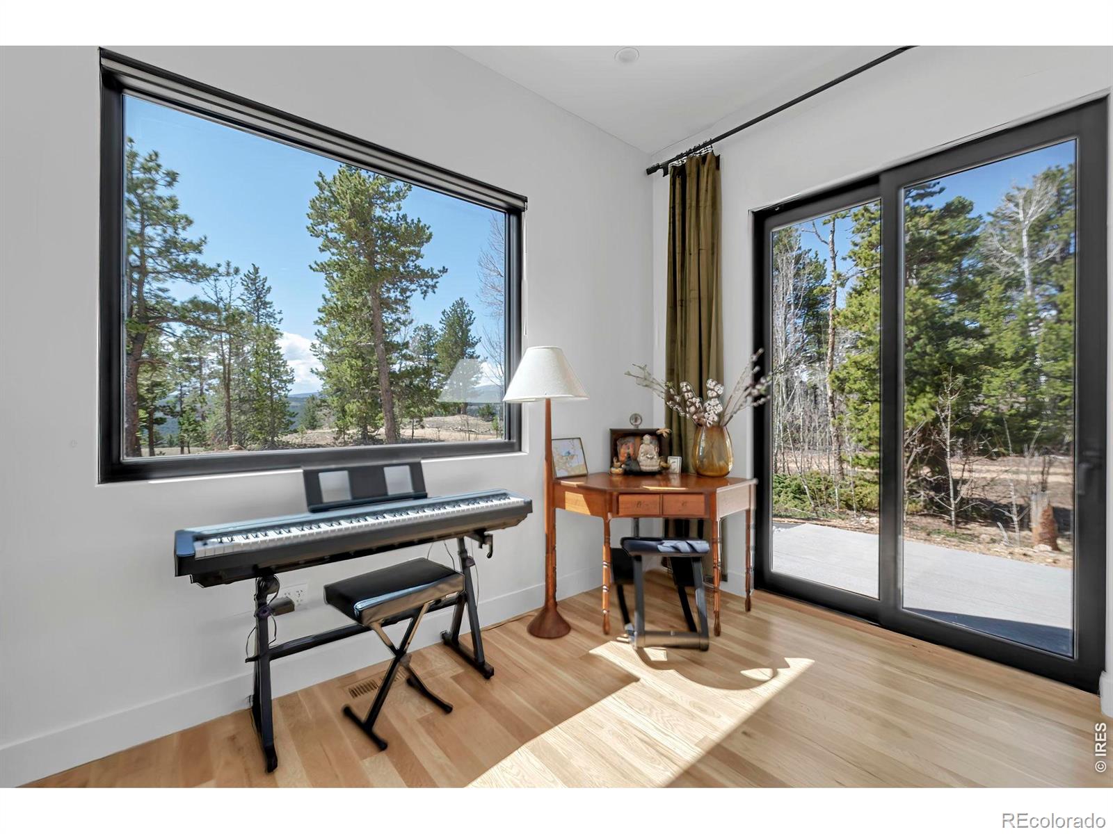 MLS Image #15 for 11  juneau circle,nederland, Colorado