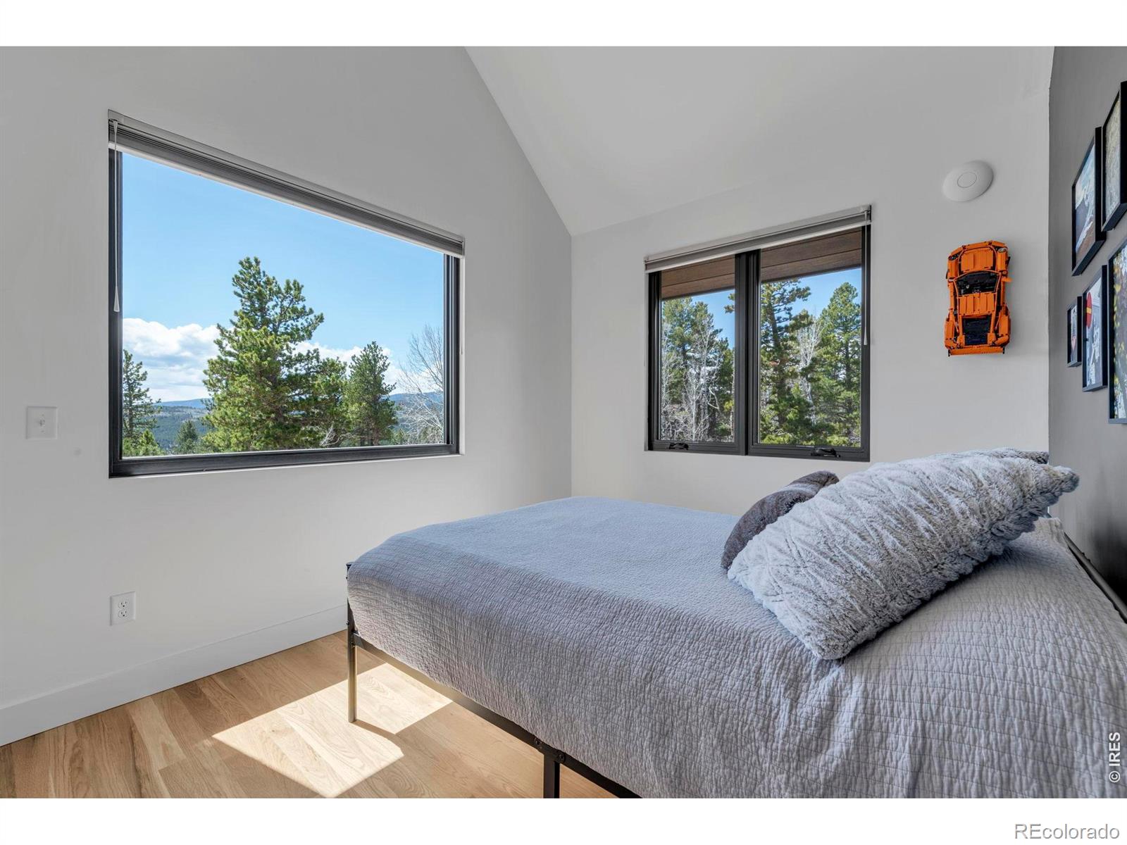 MLS Image #28 for 11  juneau circle,nederland, Colorado
