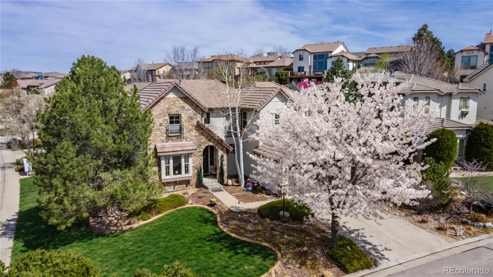 MLS Image #1 for 9691  sunset hill place,lone tree, Colorado