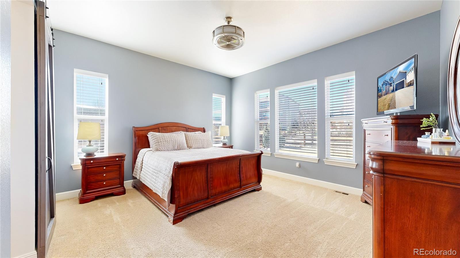 MLS Image #12 for 8465  poppy street,arvada, Colorado
