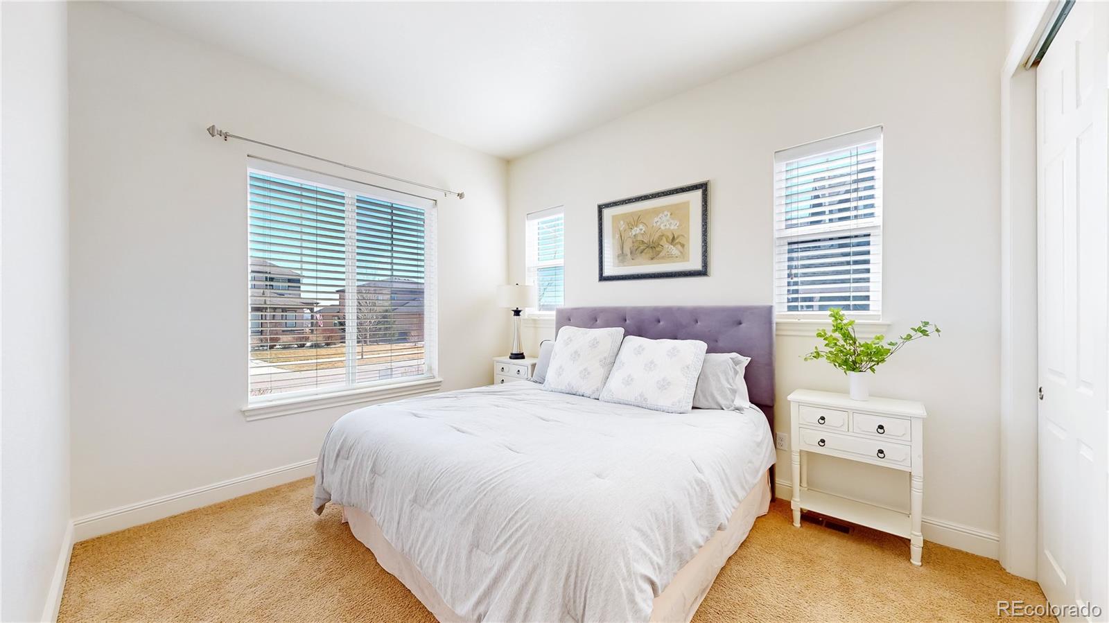 MLS Image #18 for 8465  poppy street,arvada, Colorado