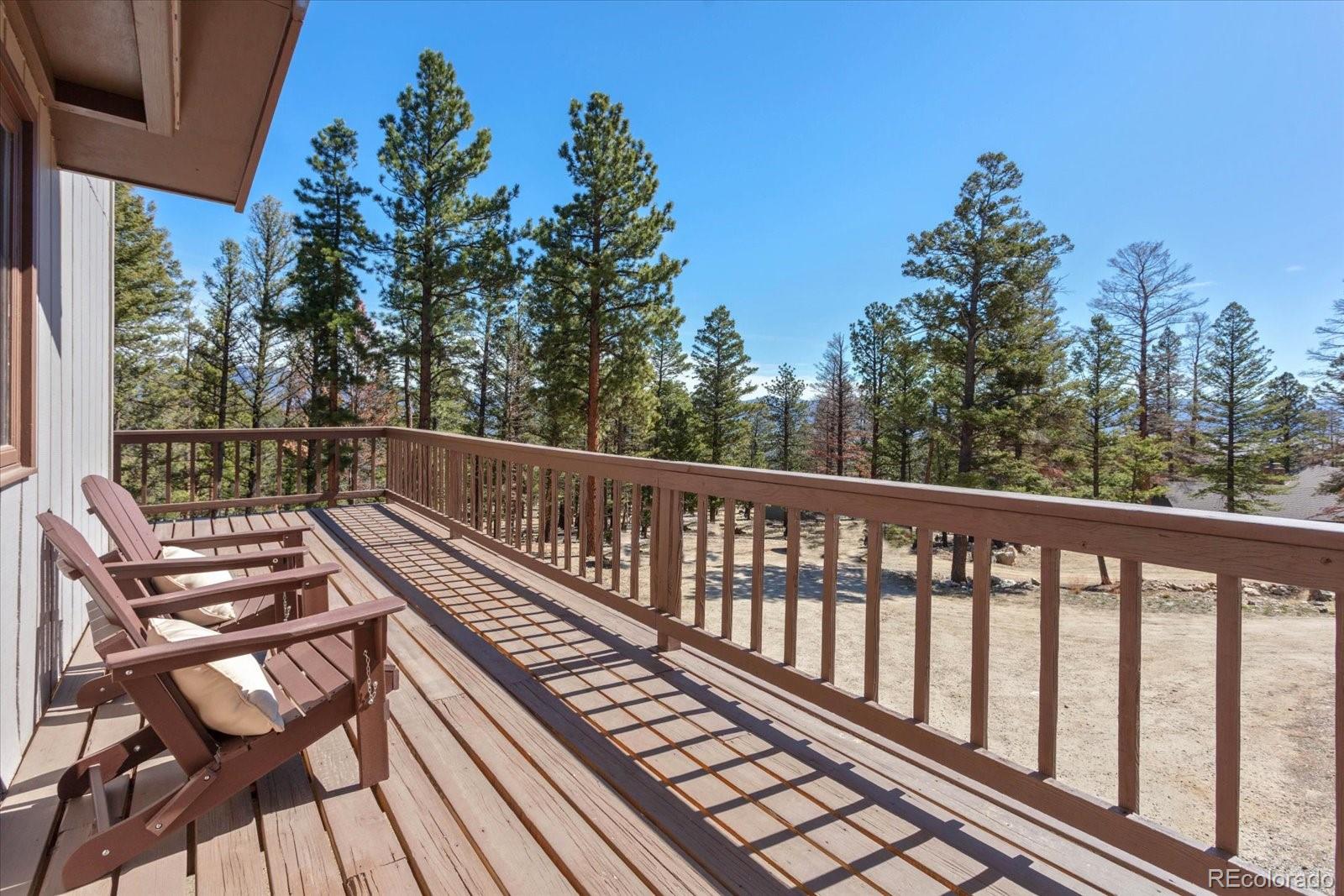MLS Image #3 for 18898  monte escondido court,buena vista, Colorado