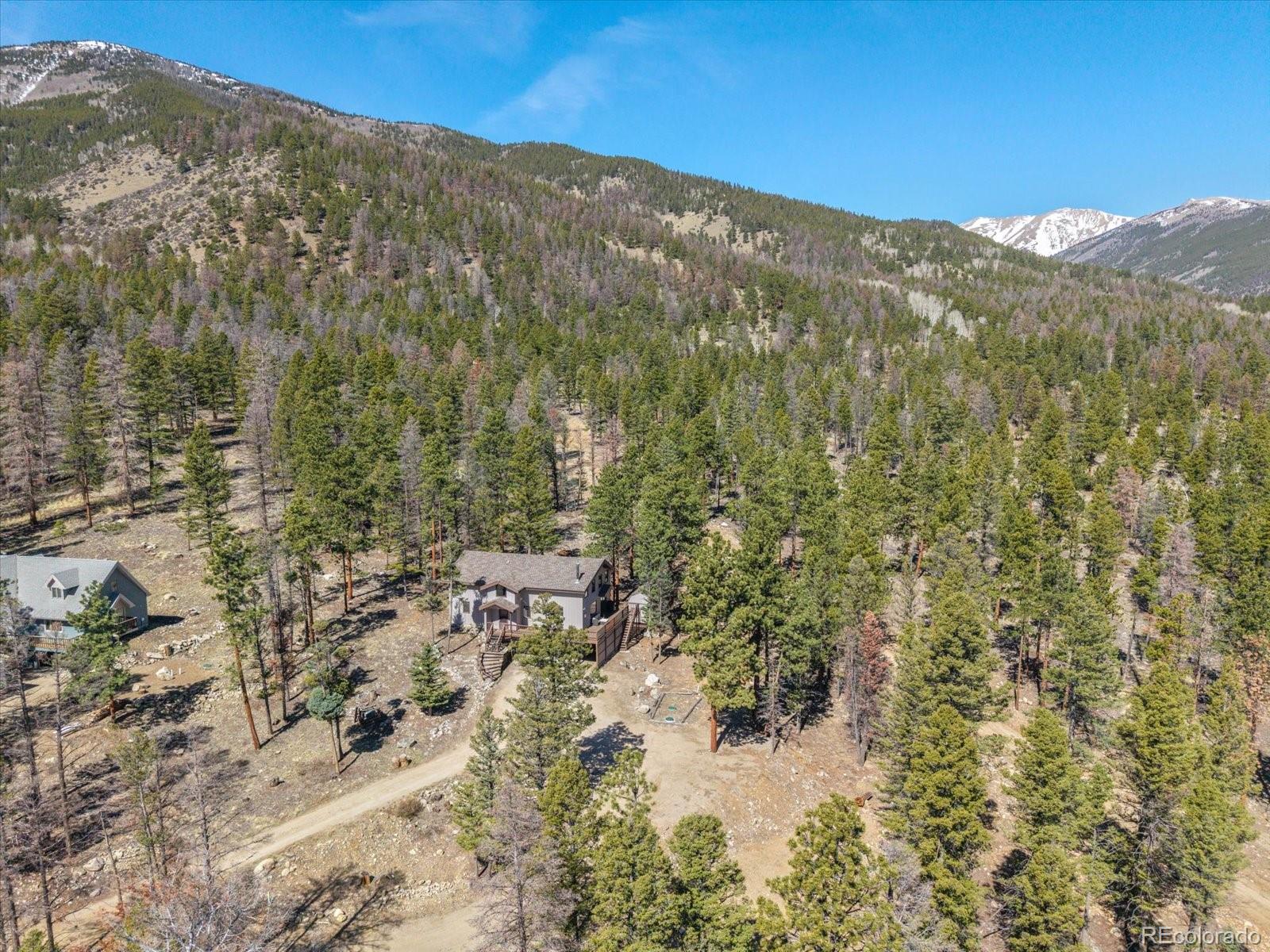 MLS Image #6 for 18898  monte escondido court,buena vista, Colorado
