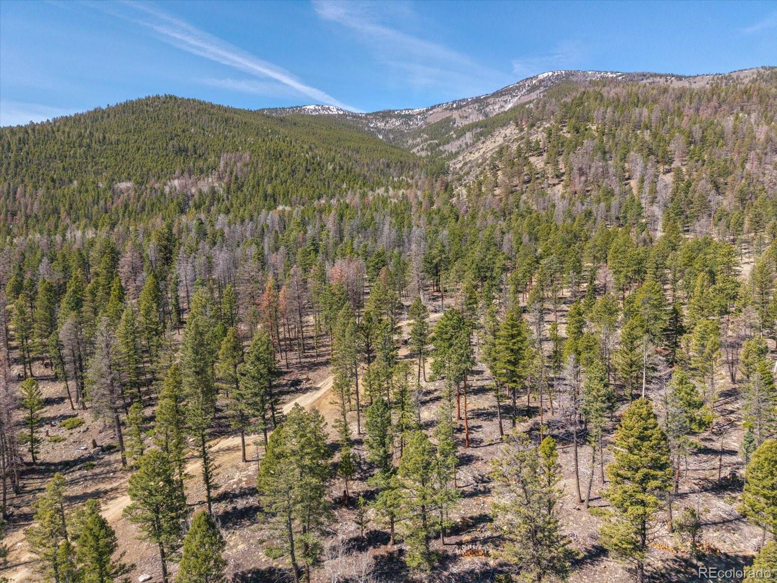 MLS Image #8 for 18898  monte escondido court,buena vista, Colorado