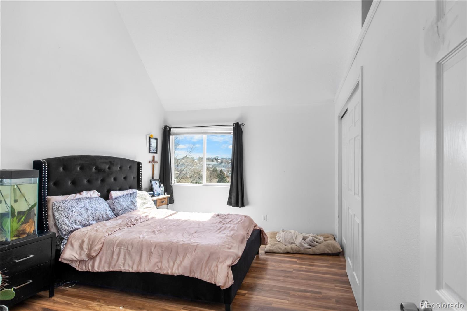 MLS Image #11 for 8701  huron street,thornton, Colorado