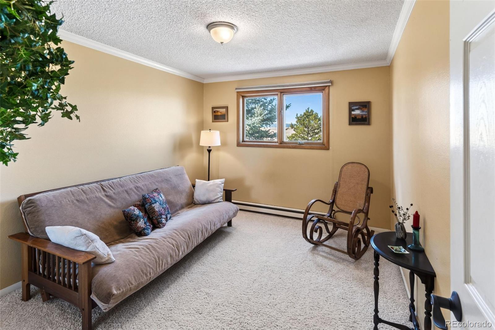 MLS Image #18 for 12360  mesa view road,larkspur, Colorado