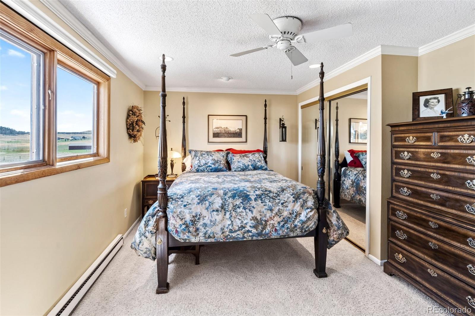 MLS Image #19 for 12360  mesa view road,larkspur, Colorado