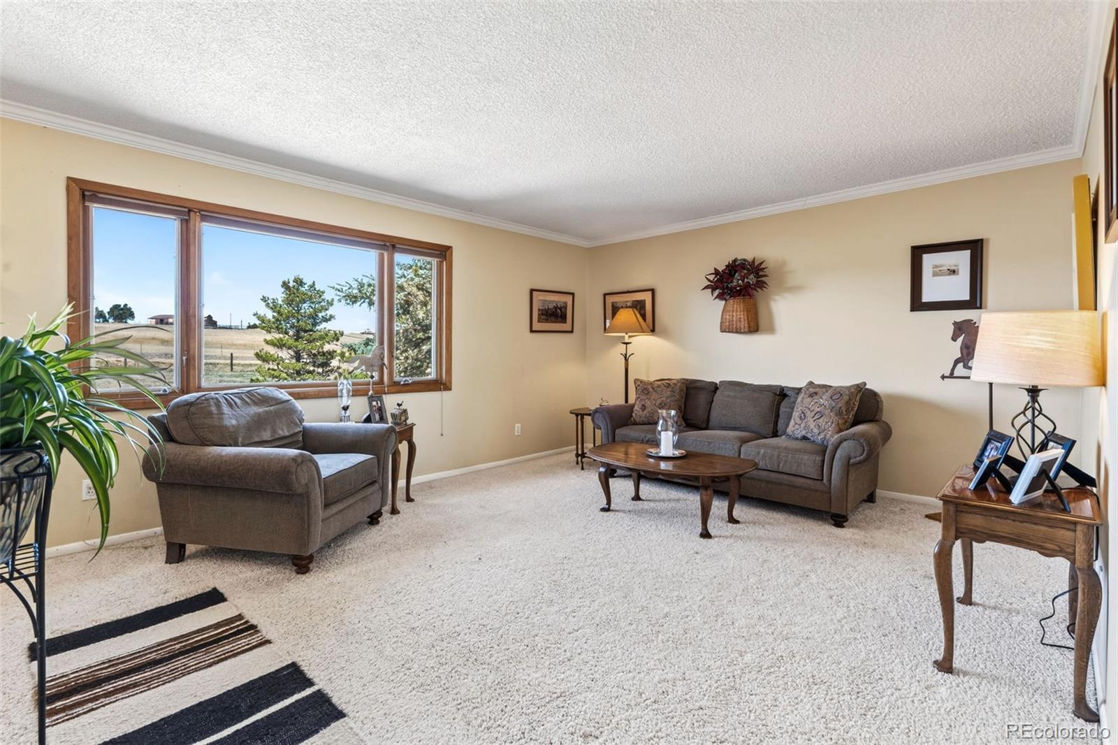 MLS Image #2 for 12360  mesa view road,larkspur, Colorado