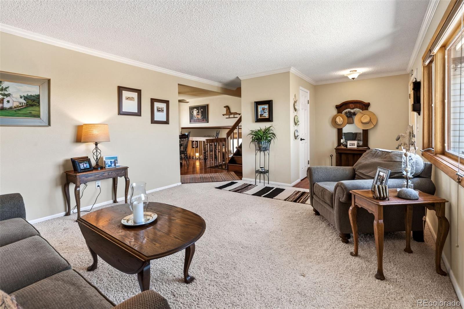 MLS Image #3 for 12360  mesa view road,larkspur, Colorado